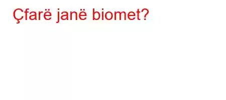 Çfarë janë biomet