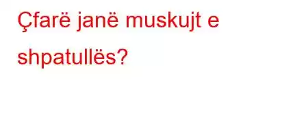 Çfarë janë muskujt e shpatullës