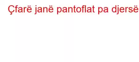 Çfarë janë pantoflat pa djersë?