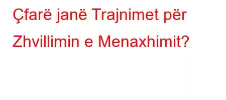 Çfarë janë Trajnimet për Zhvillimin e Menaxhimit?