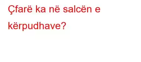 Çfarë ka në salcën e kërpudhave?