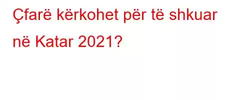 Çfarë kërkohet për të shkuar në Katar 2021?