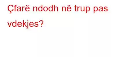 Çfarë ndodh në trup pas vdekjes?