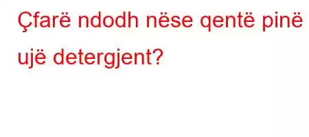 Çfarë ndodh nëse qentë pinë ujë detergjent?