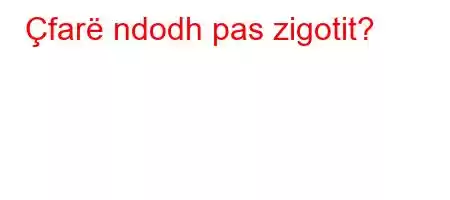 Çfarë ndodh pas zigotit?