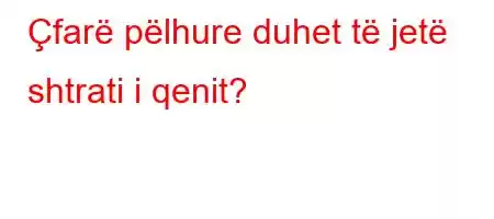 Çfarë pëlhure duhet të jetë shtrati i qenit?