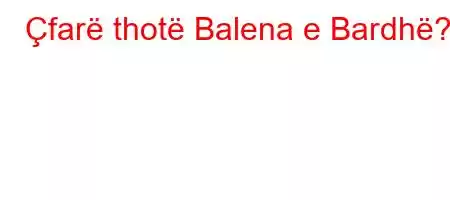 Çfarë thotë Balena e Bardhë?