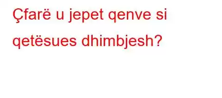 Çfarë u jepet qenve si qetësues dhimbjesh