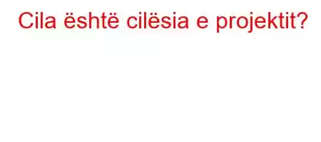 Cila është cilësia e projektit?