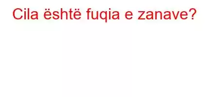 Cila është fuqia e zanave?