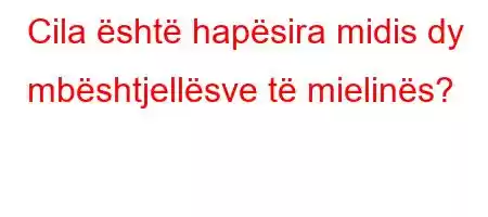 Cila është hapësira midis dy mbështjellësve të mielinës