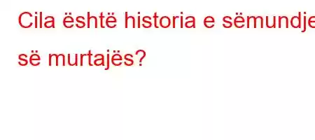 Cila është historia e sëmundjes së murtajës?