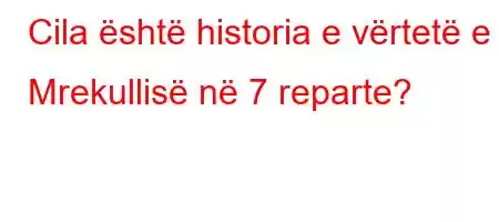 Cila është historia e vërtetë e Mrekullisë në 7 reparte?