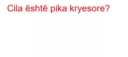 Cila është pika kryesore