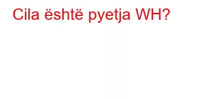 Cila është pyetja WH?