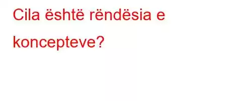 Cila është rëndësia e koncepteve?