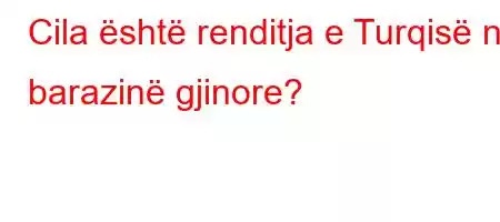 Cila është renditja e Turqisë në barazinë gjinore?