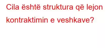 Cila është struktura që lejon kontraktimin e veshkave