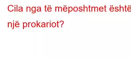 Cila nga të mëposhtmet është një prokariot