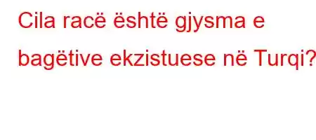 Cila racë është gjysma e bagëtive ekzistuese në Turqi?