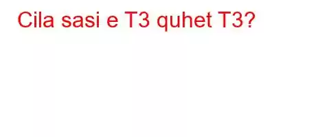 Cila sasi e T3 quhet T3