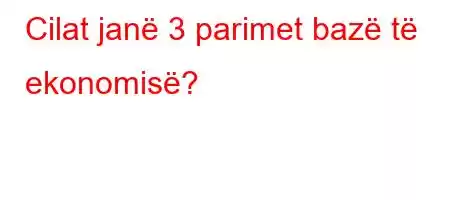 Cilat janë 3 parimet bazë të ekonomisë?