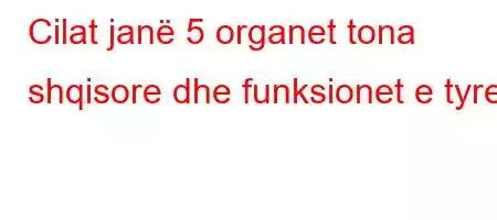 Cilat janë 5 organet tona shqisore dhe funksionet e tyre?