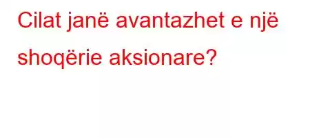 Cilat janë avantazhet e një shoqërie aksionare?