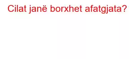 Cilat janë borxhet afatgjata