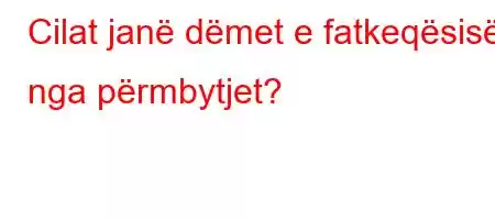 Cilat janë dëmet e fatkeqësisë nga përmbytjet