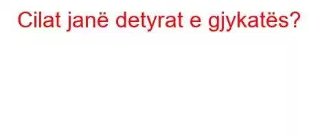 Cilat janë detyrat e gjykatës?