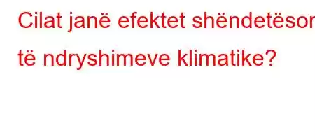 Cilat janë efektet shëndetësore të ndryshimeve klimatike?