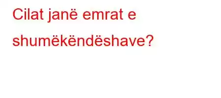 Cilat janë emrat e shumëkëndëshave