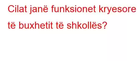 Cilat janë funksionet kryesore të buxhetit të shkollës?