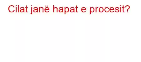 Cilat janë hapat e procesit?