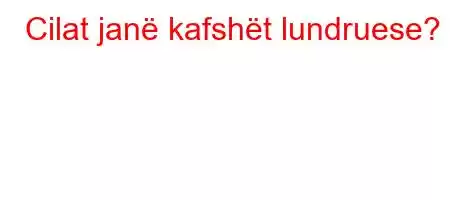 Cilat janë kafshët lundruese?