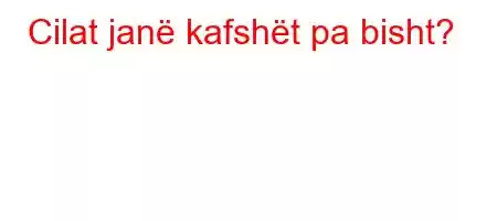 Cilat janë kafshët pa bisht