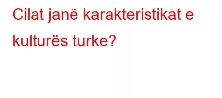 Cilat janë karakteristikat e kulturës turke?