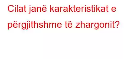 Cilat janë karakteristikat e përgjithshme të zhargonit?