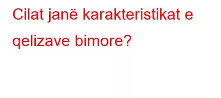 Cilat janë karakteristikat e qelizave bimore?