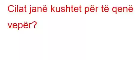 Cilat janë kushtet për të qenë vepër