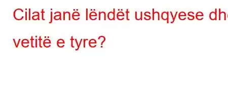 Cilat janë lëndët ushqyese dhe vetitë e tyre?