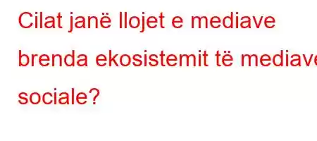 Cilat janë llojet e mediave brenda ekosistemit të mediave sociale?