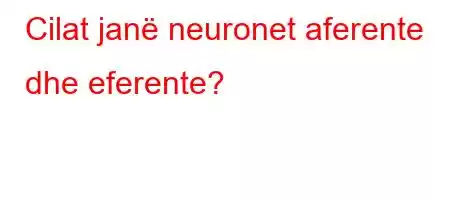 Cilat janë neuronet aferente dhe eferente?