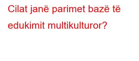 Cilat janë parimet bazë të edukimit multikulturor?