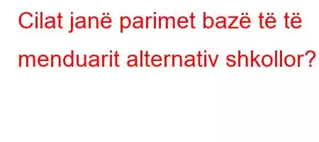 Cilat janë parimet bazë të të menduarit alternativ shkollor?