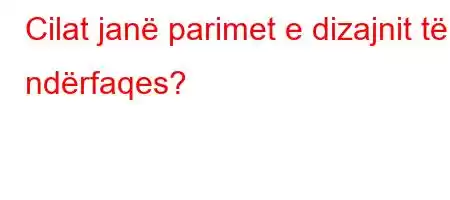 Cilat janë parimet e dizajnit të ndërfaqes?