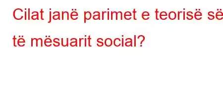 Cilat janë parimet e teorisë së të mësuarit social?