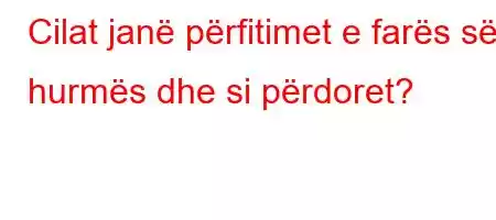 Cilat janë përfitimet e farës së hurmës dhe si përdoret?