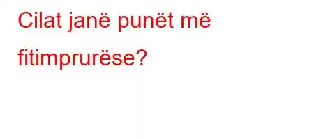 Cilat janë punët më fitimprurëse?